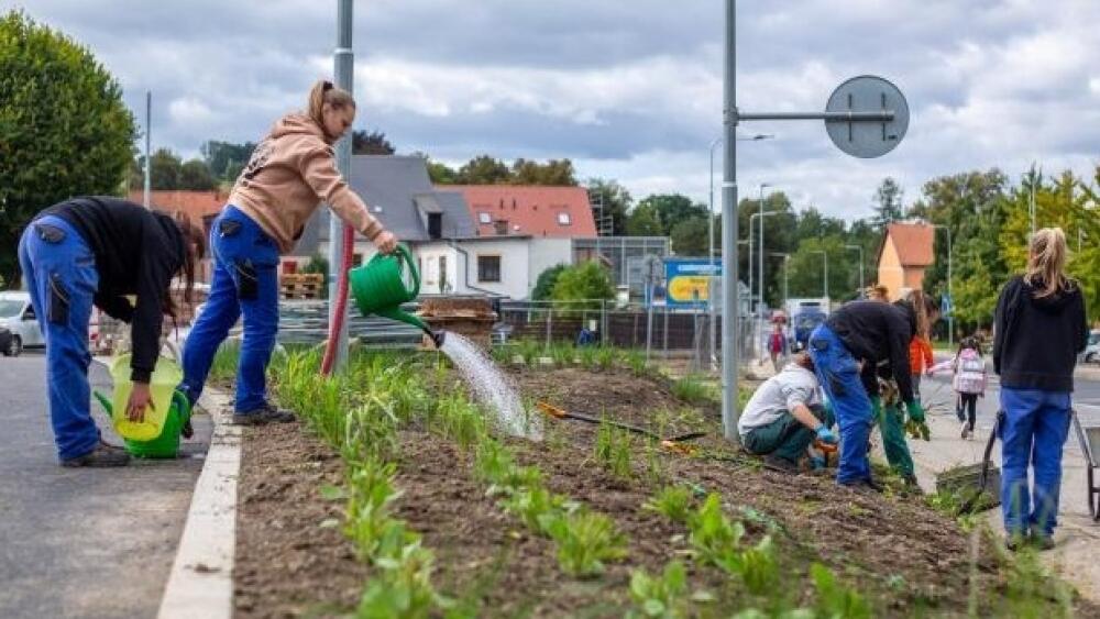 Foto z www.mesto-frydlant.cz